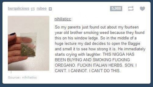 hornoxe.com_picdump314_045