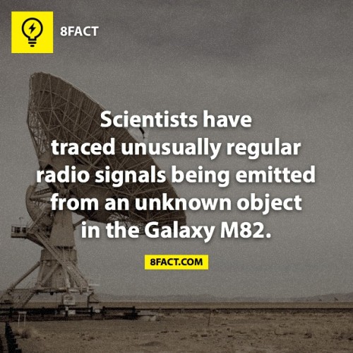 hornoxe.com_picdump314_052