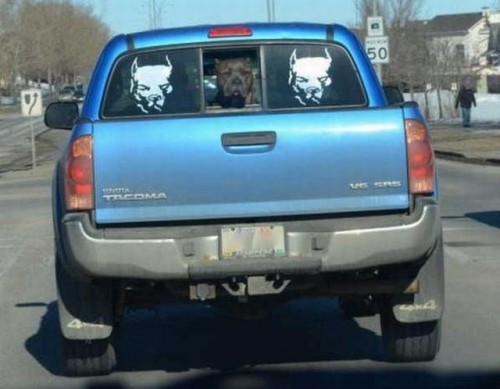 hornoxe.com_picdump314_064