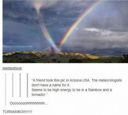 hornoxe.com_picdump314_066