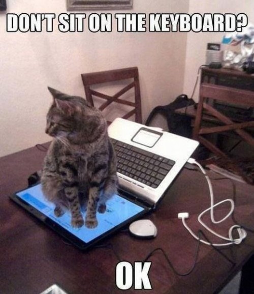 hornoxe.com_picdump314_088