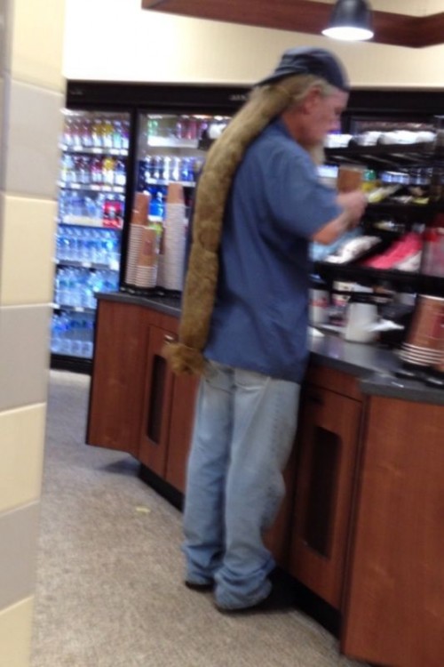 hornoxe.com_picdump314_093