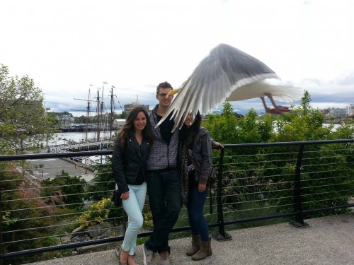 hornoxe.com_picdump314_097