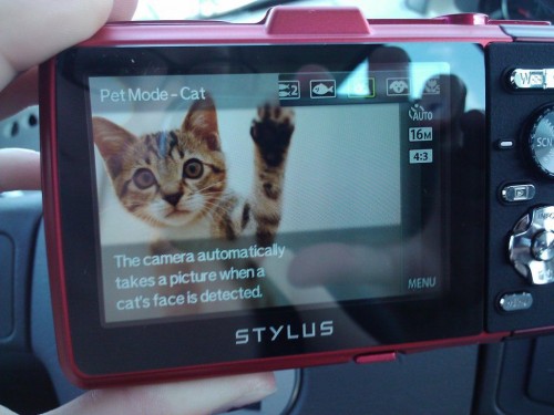 hornoxe.com_picdump314_123