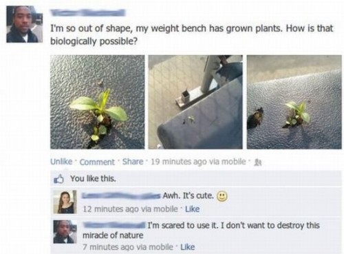 hornoxe.com_picdump314_134