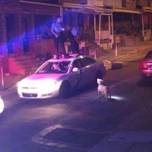 hornoxe.com_picdump314_145