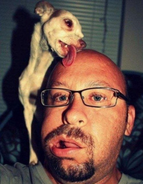 hornoxe.com_picdump314_165