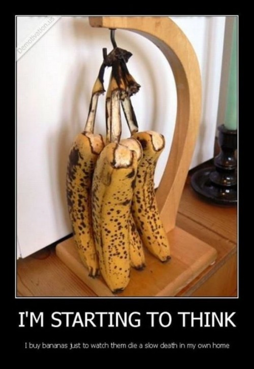 hornoxe.com_picdump314_212