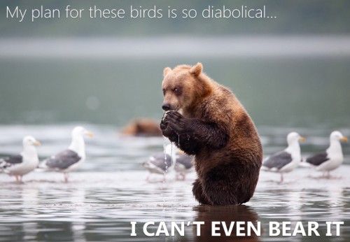 hornoxe.com_picdump315_009