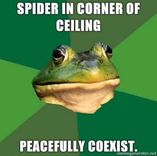 hornoxe.com_picdump315_033