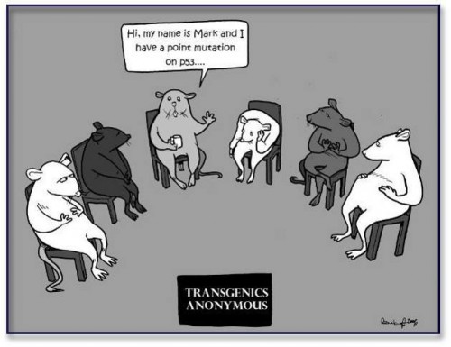 hornoxe.com_picdump315_044