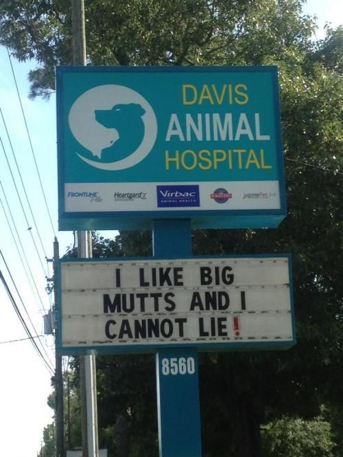 hornoxe.com_picdump315_061