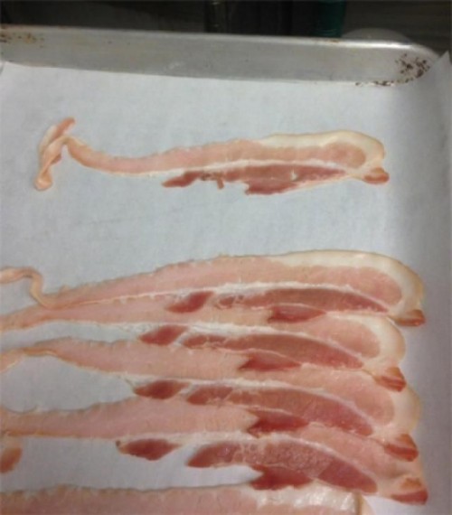 hornoxe.com_picdump315_071