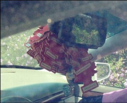 hornoxe.com_picdump315_076