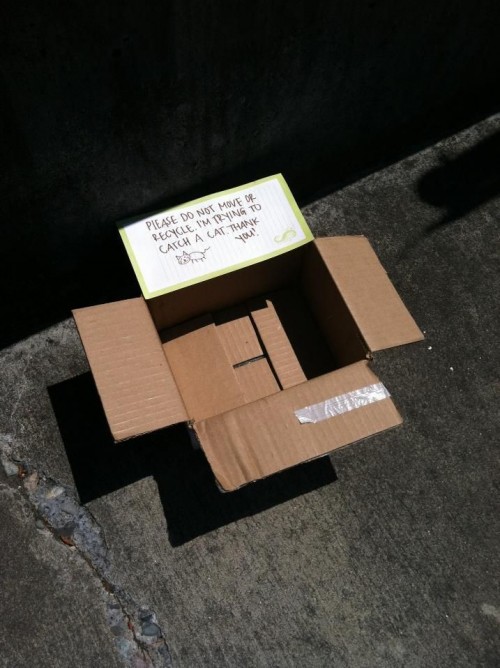 hornoxe.com_picdump315_084