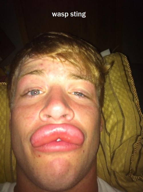 hornoxe.com_picdump315_093