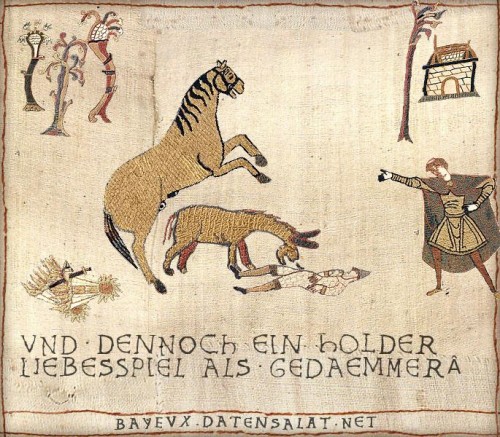 hornoxe.com_picdump315_102