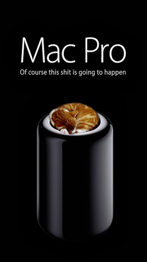 hornoxe.com_picdump315_120