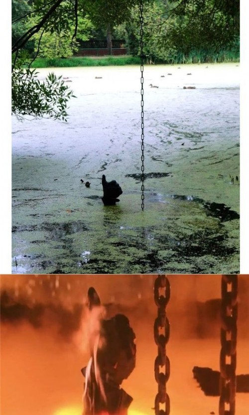 hornoxe.com_picdump315_125