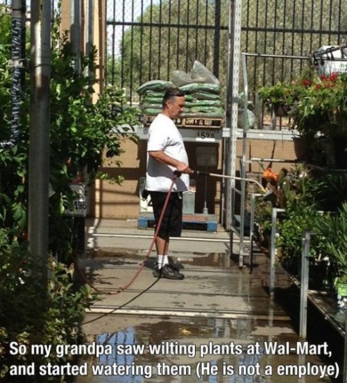 hornoxe.com_picdump315_129