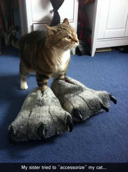 hornoxe.com_picdump315_146