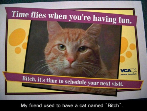 hornoxe.com_picdump315_149