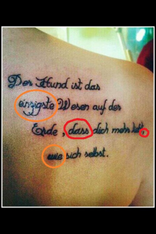 hornoxe.com_picdump316_002