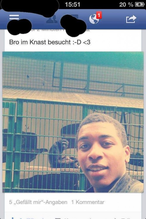 hornoxe.com_picdump316_005