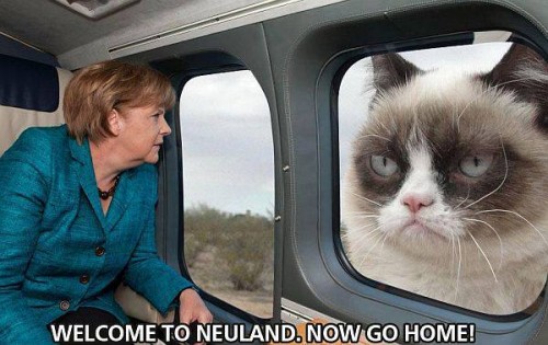 hornoxe.com_picdump316_024