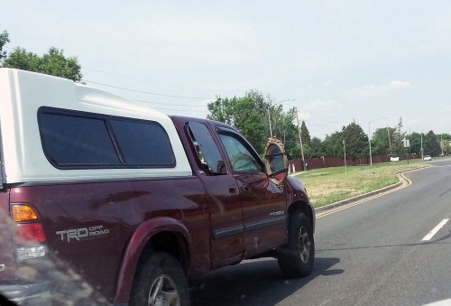 hornoxe.com_picdump316_051