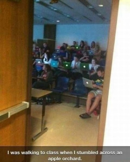 hornoxe.com_picdump316_066