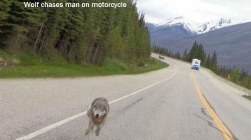 hornoxe.com_picdump316_089