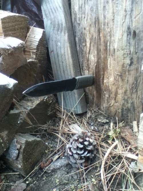 hornoxe.com_picdump316_099