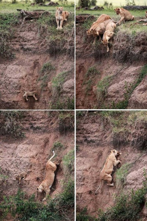 hornoxe.com_picdump316_108