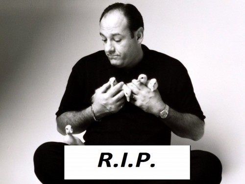 hornoxe.com_picdump316_130