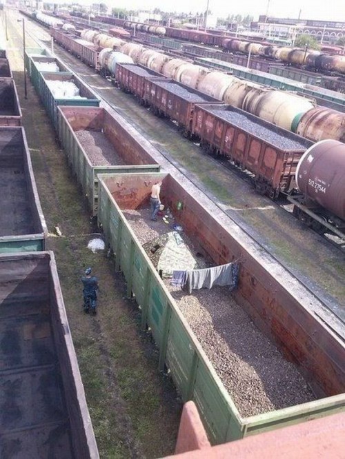 hornoxe.com_picdump316_141