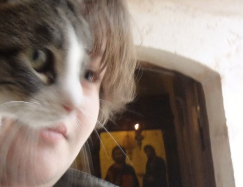 hornoxe.com_picdump316_155