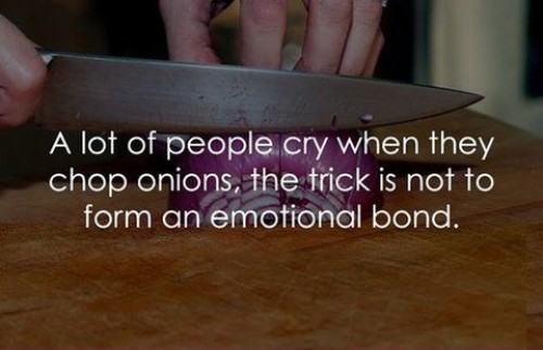 hornoxe.com_picdump316_162