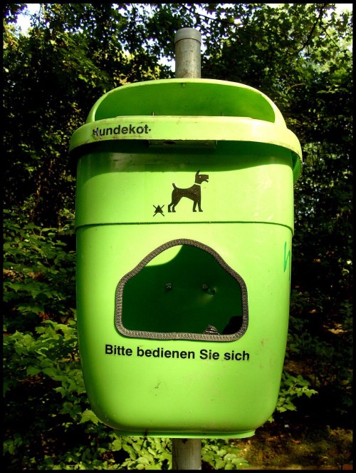 hornoxe.com_picdump317_008