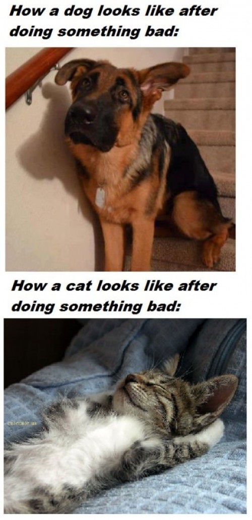 hornoxe.com_picdump317_026