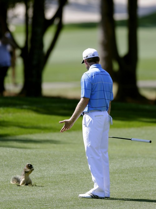 hornoxe.com_picdump317_050