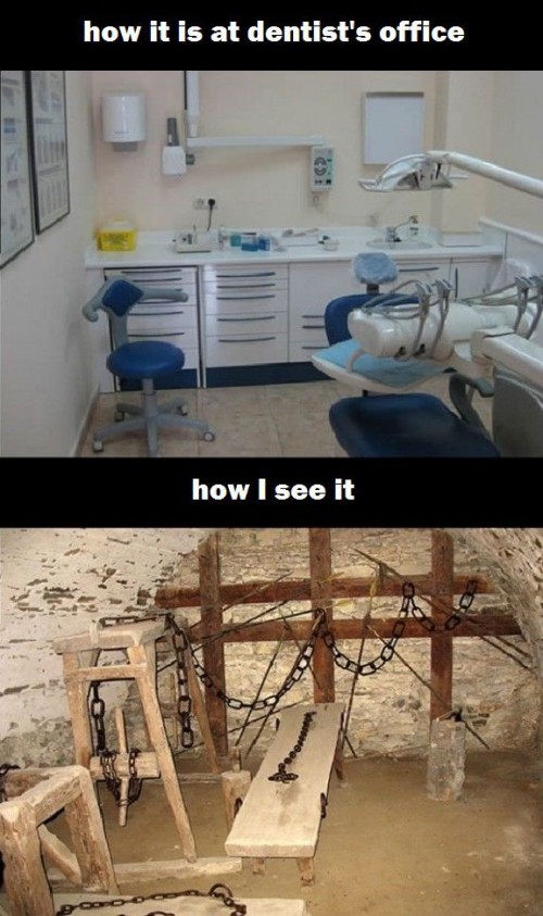 hornoxe.com_picdump317_091