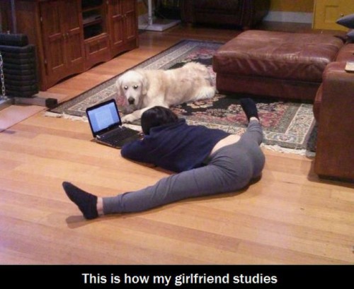 hornoxe.com_picdump317_096