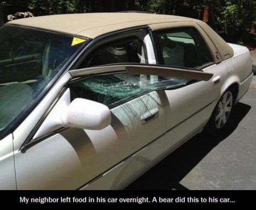 hornoxe.com_picdump317_097