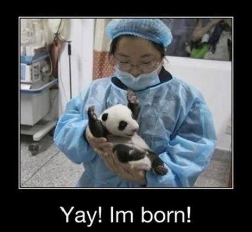 hornoxe.com_picdump317_154