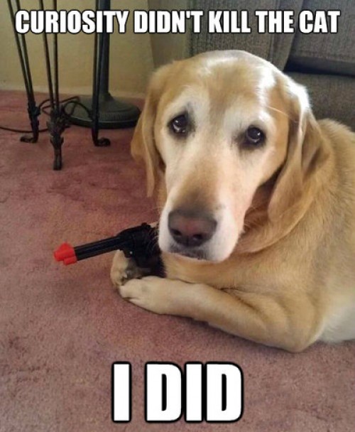 hornoxe.com_picdump317_166