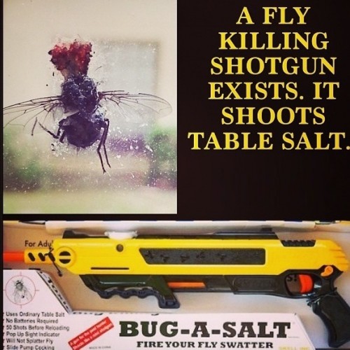 hornoxe.com_picdump318_004