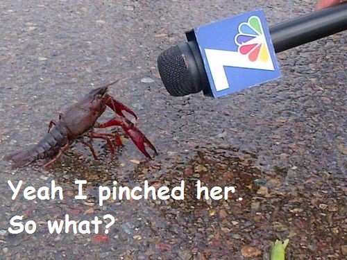 hornoxe.com_picdump318_019