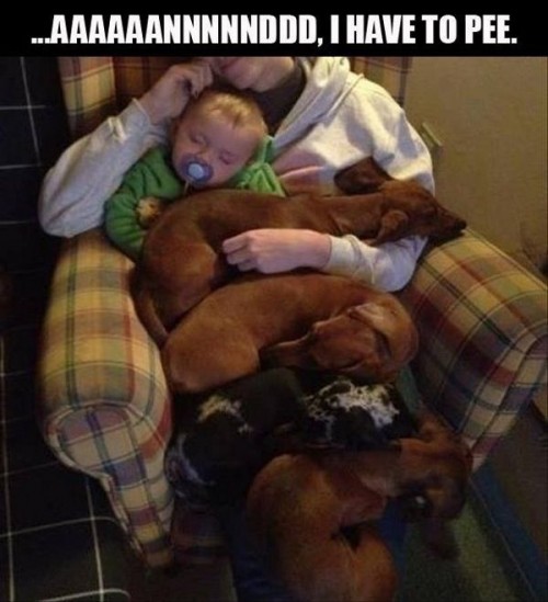 hornoxe.com_picdump318_028