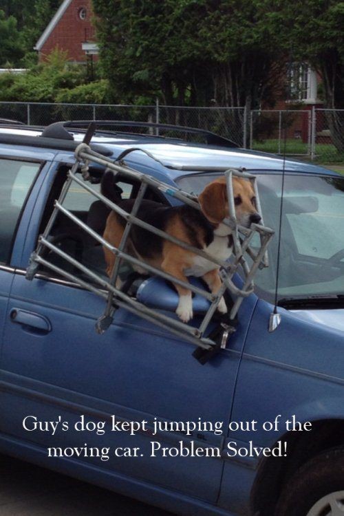 hornoxe.com_picdump318_035